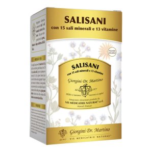 SALISANI Polv.Solub.360g
