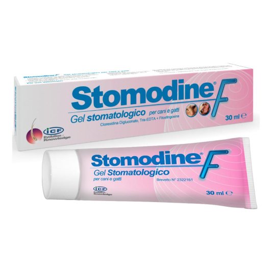 STOMODINE F Gel Stomat.30ml