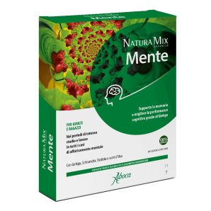 NATURA Mix Adv Mente 10fl.