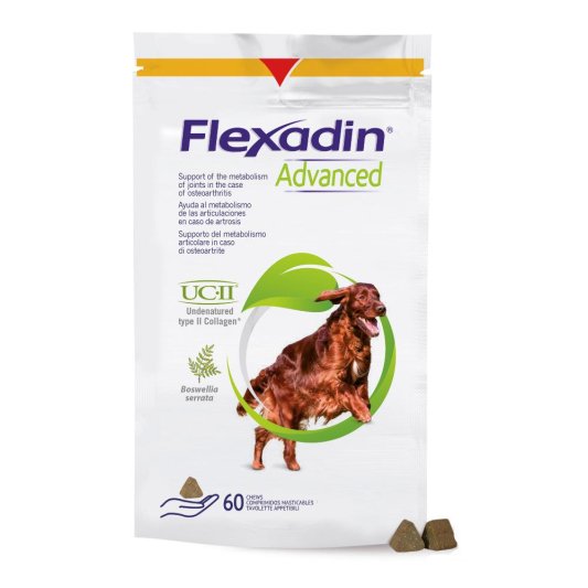 FLEXADIN Advanced Cani 60 Tav.