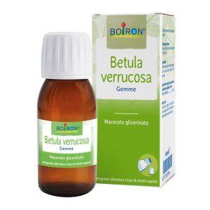 BO.BETULA VER.GEMME 1DH 60ml