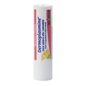 DERMOPLASMINE Stick Labbra 4g