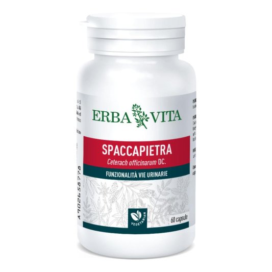 SPACCAPIETRA 60 Cps 500mg  EBV