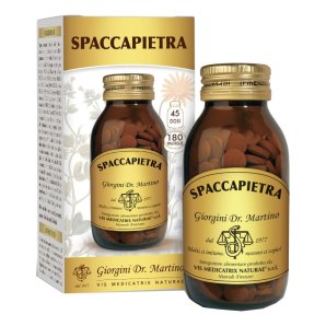 SPACCAPIETRA 180 Past.SVS