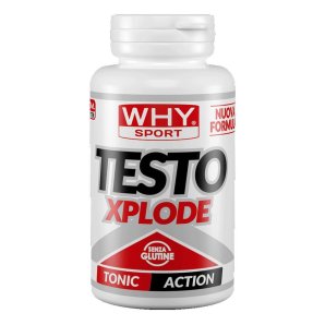 WHYSPORT TESTO XPLODE 90CPR NF