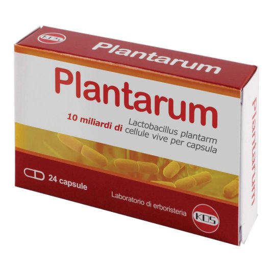 PLANTARUM 10MLD 24CPS