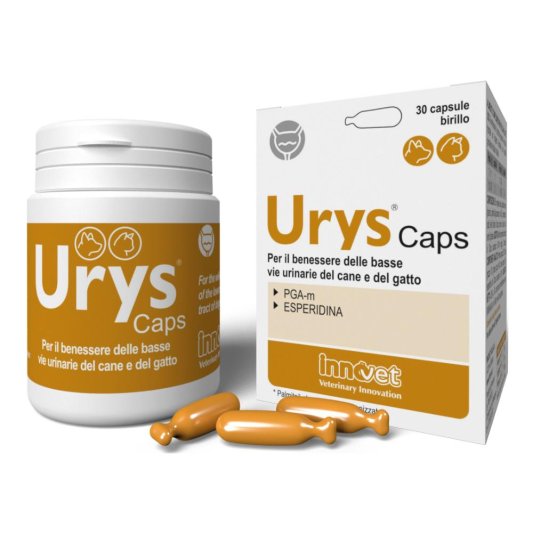 URYS CAPS 30 Cps