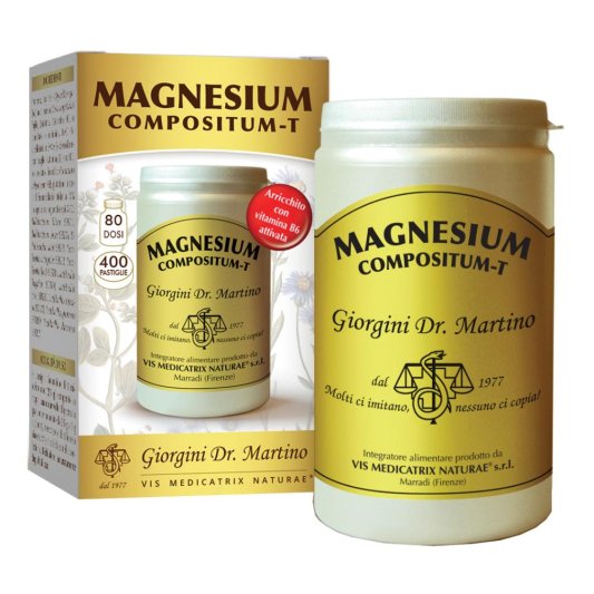 MAGNESIUM Comp-T 400Past.500mg