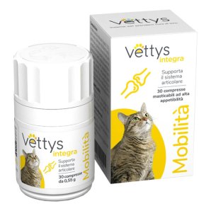 VETTYS Integra Mobilita'Gatto