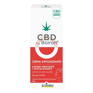 CBD CREMA ANTIOSSIDANTE 40G