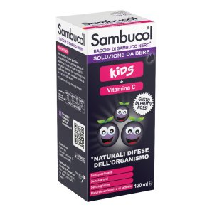 SAMBUCOL Sol.Liq.Kids 120ml