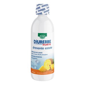 DIURERBE Fte Dren Ananas 500ml